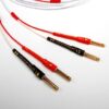 Sarsen Speaker Cable